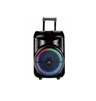 SPEAKER MPD892-RUMBLE 12